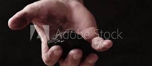 Coal in the hand of a miner.