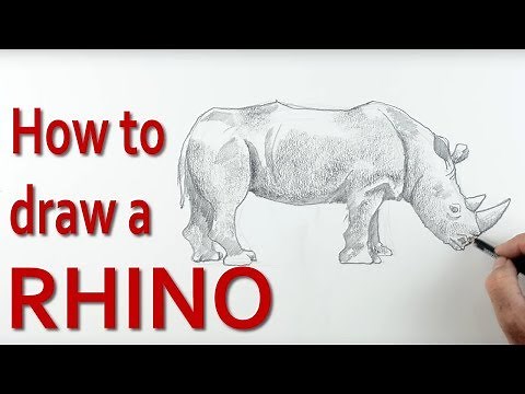 Unbelievably Simple Technique to Draw a Rhinoceros