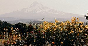 ICF Hamburg - Kirche in Hamburg – Kirche neu erleben