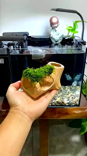 21K views · 189 reactions | Little Fishtank Setup #trending #aquarium #fishaquarium #fishtanksetup #fish #aquariumfishtank #diy | Aquatic Wonders Hub | Facebook