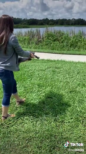 Fast Running Turtle: Watch This Incredible Video!