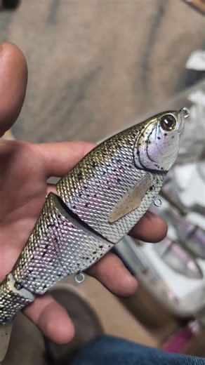 57 reactions · 3 comments | 3pc Lipless true wakes and shiner glides in rainbow trout flavors were just added to the website狼9pm Eastern time.. www.phoneyfrogsusa.com limited numbers available so if you want one better grab it #phoneyfrogsusa #handmadelures #truewake #shinerglide #handmadeintheusa | Phoneyfrogsusa | Facebook