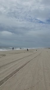 2.6K views · 121 reactions | Good morning from IBSP.... Wednesday, September 2nd. Air temp: 76 degrees Water temp: 72 degrees Winds: SSE 6 m.p.h. High tide: 8:12 a.m. Low tide: 2:22 p.m. Flags: Green over Yellow Minimal flies on the beach | Island Beach State Park | Facebook