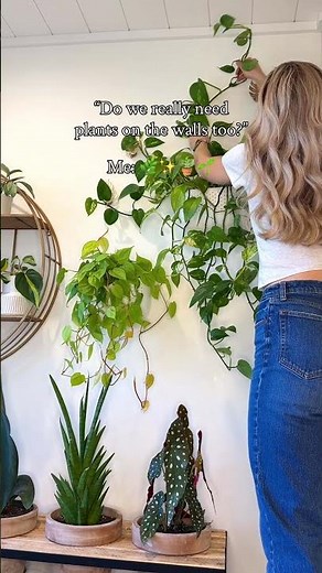 How to add plants to your walls 🌿