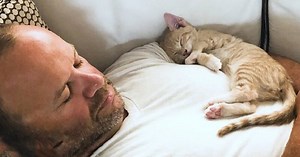 Kitten Becomes Obsessed With His Dad And Does Everything With Him