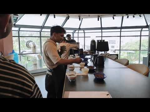 Coffee Cupping Like a Pro ☕ | Inside Q Grading Secrets