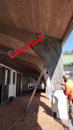 Protect Your Wood Like a Pro | Termite & Weather Defense Made Easy! #handyman #shorts #woodwork