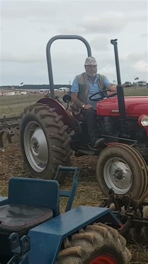 massey ferguson 35 diesel with ferguson cultivator in use