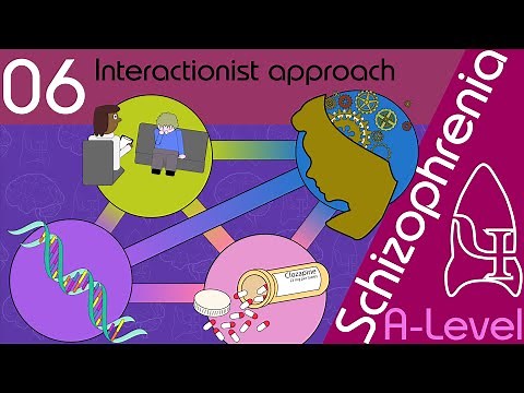Interactionalist Explanation for Schizophrenia [AQA ALevel]