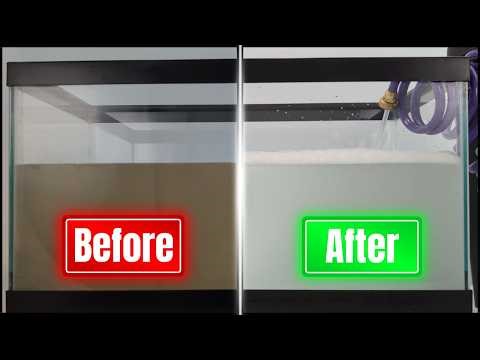 Filtered Greywater vs Laundry-to-Landscape (No Filter) | What’s the Difference? Aqua2use Explained