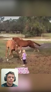 21K views · 321 reactions | Animals VS Its biggest rival, THE ELECTRIC FENCE! 藍⚡️ #electricfence #funnyanimals #funnyvideos | Eletric FENCE | Facebook