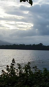 Embracing the serenity of a morning walk with loved ones – where every step becomes a cherished moment and nature is our shared canvas. 👨‍👩‍👧‍👦🌳 #FamilyMorningStroll #naturebonding #FamilyWalks #MorningStroll #NatureConnection #FamilyWellness #TogetherOutdoors #MorningMoments #FamilyFitness #NatureTime #BondingOverWalks #healthyhabits Title: Mechou (Family Unity) (feat. Georges Ansel) Artist: Afro Sound Machine | Maria Rochelle Hidalgo Barbacena