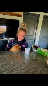 Dernier petit déjeuner et derniers instants passés avec bébé Lilou ( accompagné de Tic et Tac mes fidèles calopsitte 🥰 ) qui rejoindra sa famille très vite 🥹❤️ breakfast and last moments spent with baby Lilou ( accompanied by Tic et Tac my faithful calopsitte 🥰 ) who will join his family very soon 🥹❤️ #dogsofinstagram #frenchmastiff #chien #doguedebordeaux #calopsita | Élevage de dogues de Bordeaux les mille diab/es