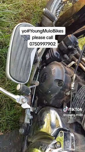 Young Mulo (@young.mulo)’s videos with original sound - Young Mulo