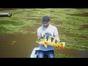 Laguna Iquitos Peacock Bass Fishing Sim World Pro Tour 2020 1440p
