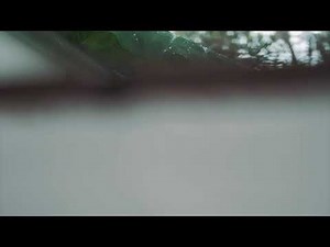 Rain Drops Sound Effects Nature Video