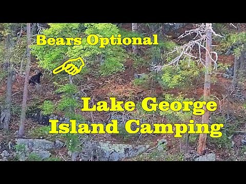 Adirondack Summer S3E6 Lake George Island Camping (with bears) in 4k