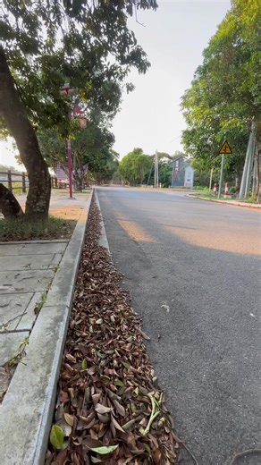 LEAF BLASTER GX Stop raking. Start blowing. 900 CFM of instant force - driveway clear in 5 minutes. Built tough. Go. #TheLastRake#jetblower #HomeAndElectronicsDeals #popular #populartiktok