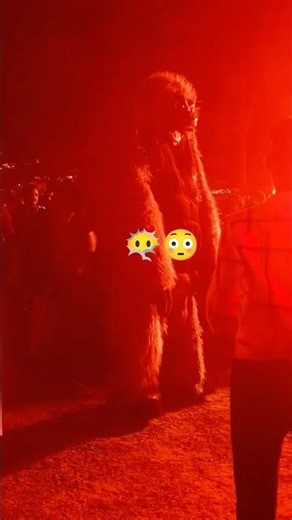 Scn.. 😂😮‍💨 #perunnal #chillmood #fypシ゚viral #justforafun #gorilla #chimpanzee #panda #vibey