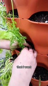 "The Garden Tower" ​"The Garden Tower" ​"The Garden Tower" Over...