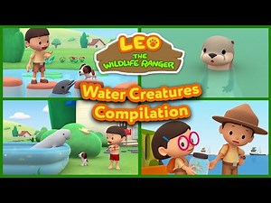 Water Creatures - Leo The Wildlife Ranger (Compilation)