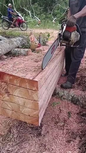 Exploring British and French Celebrity Culture