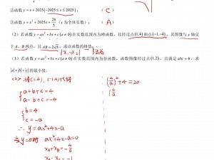 青竹湖二模T24二次函数新定义