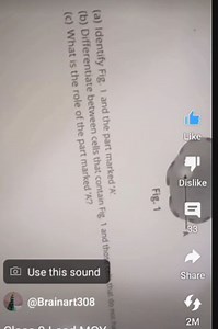 \frac { 0 } { 5 }Fig. 1(a) Identify Fig. I and the part marke... | Filo