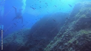 Divers playing with the fishes and enjoying underwater in Menorca Island Spain. Underwarter