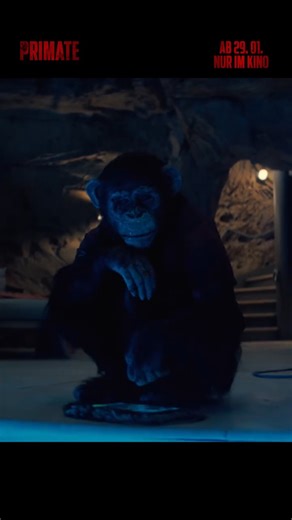 Unglaubliche Spannung! PRIMATE - ab 29.1. NUR im Kino. #PrimateFilm | Paramount Pictures | Facebook