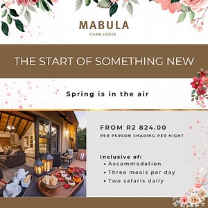 91 reactions · 9 comments | Escape to Mabula Game Lodge this spring from just R2824 per person sharing per night. Immerse yourself in the heart of the bush, where adventure meets tranquility. Enjoy 3 gourmet meals a day, 2 thrilling safaris daily, and the bonus of kids under 12 staying FREE. Don’t miss out on this exclusive offer. Book Now and let nature's wonders surround you. #Spring2024 | Mabula Game Lodge | Facebook