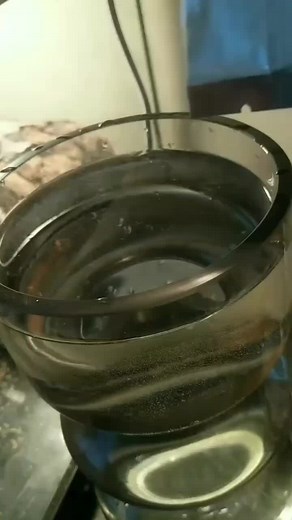 sea monkeys army have you ever seen this much seamonkeys before?🤣you don't want to miss when all the seamonkey eggs hatch😳