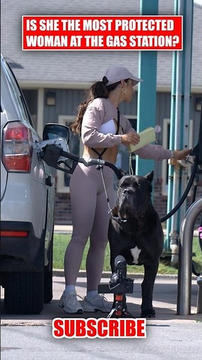 Is She The Most Protected Woman at the Gas Station? #canecorso #dog #shorts
