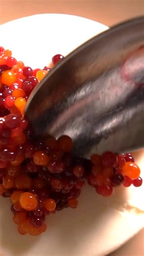 A silken custard meets a burst of berry and mango. Familiar, yet full of surprise. The Berry Burst is our ode to indulgence, memory, and joy. Whether its a celebration or a small treat at the end a long day, come slow down and savour life’s sweetest moments at Burma Burma. Explore all our locations through the link in bio, and visit our nearest outlet for a sweet treat.✨ | Burma Burma