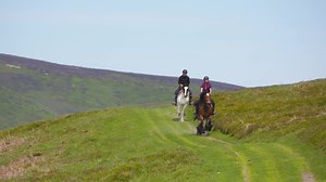 300K views · 2.3K reactions | Guided and Self Guided horse riding holidays in Mid-Wales ☀️⛰ | Freerein Horse Riding Holidays | Facebook