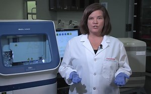 Using Standard Curve to Estimate DNA Quantity (rtPCR, qPCR)