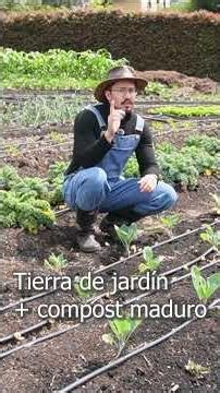 Professional germination substrate vs. homemade compost (which one to use?) 🌱🆚