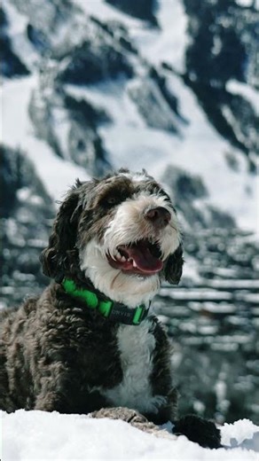 Winter Hiking in Aspen, Colorado 🥾❄️