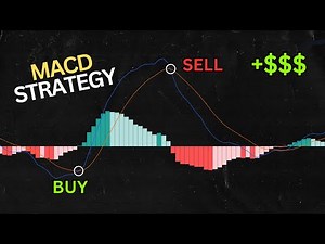 MACD Indicator: The BEST Trading Tool for Beginners