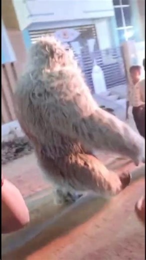 Pyar Bhi Milega Tujhe 🧸#shorts #trendingshorts #viralshorts #music #bollywood #youtubeshorts