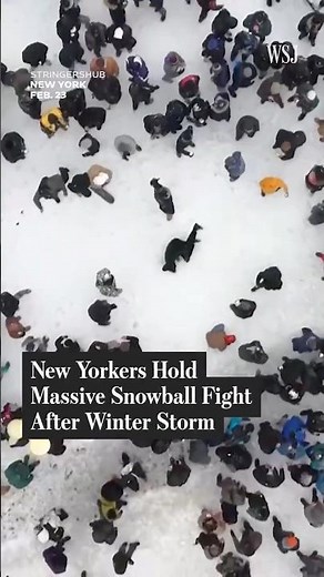 New Yorkers Hold Massive Snowball Fight After Winter Storm