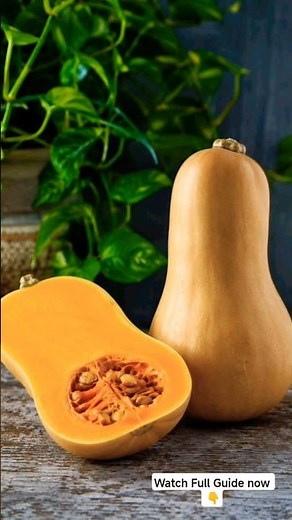 How to Grow Squash in the UK Garden Step-by-Step Guide 🏡