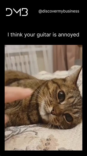 Digital Marketing | Leads management • Paid Media • Google Ads on Instagram: "This cat is giving the exact expression of someone who’s been poked, prodded, emotionally damaged, spiritually exhausted, and is now just lying there questioning how they ended up being played like an off-tune guitar in someone’s sad little bedroom concert. That face says: “Stop strumming me, I am not your emotional support instrument.” #AnnoyedCat #FunnyCatReels #RelatableMemes #CatHumor #CatVibes #CatMeme2025 #ViralR