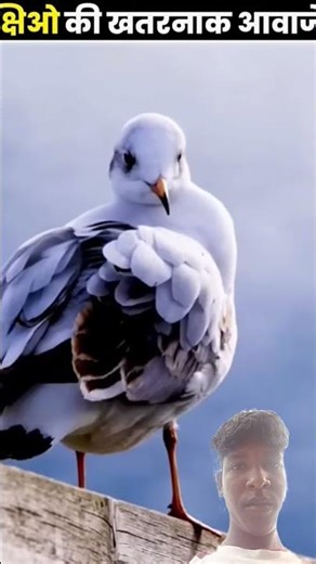 duniya ke sabse ajeeb janwar #trending #shorts