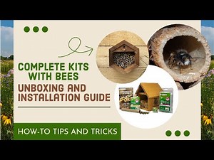 Complete Kit with Bees Unboxing and Installation Guide