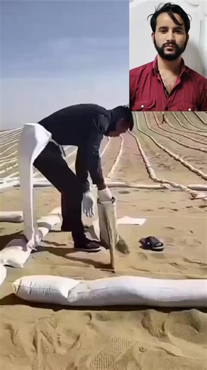 Chaina Green Plant Mission #facebookreels2025 #chainamission #greenplants | Randhir Chaurasia