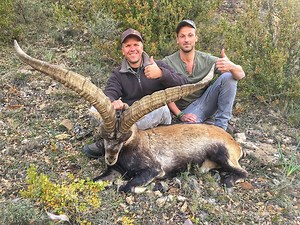 Spain Big Game Hunts | Professional Big Game Hunting Guide JR Hunting