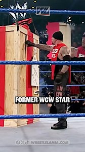 259K views · 2.3K reactions | Why Undertaker hated these wrestlers  | Wrestlelamia.com | Facebook