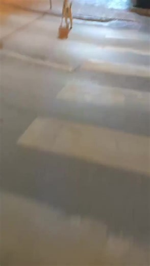 Hajgare o njerëz, s’ka lidhje me përmbajtjen. Veç e përshtata videon me zërin 🙏 #fypシ #foryou #foryoupage #dhezipahiri #kosova