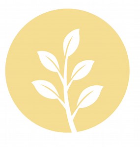 Publications | icadv-website